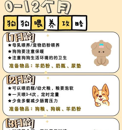 狗狗吃排骨炖的时长与正确喂食方法