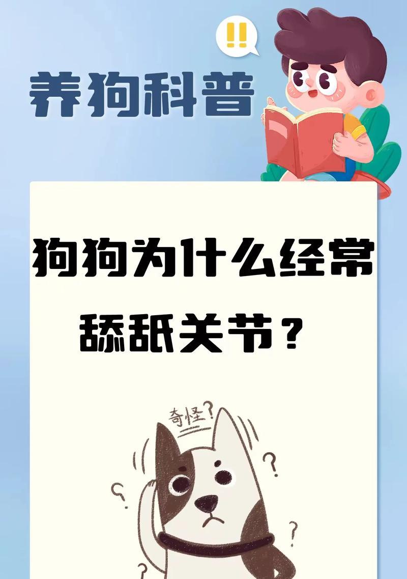 狗狗舔人行为背后的科学原因解析