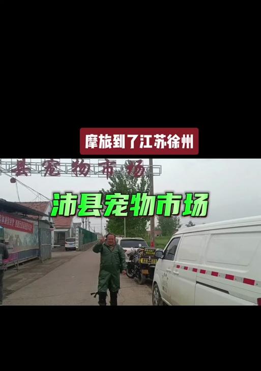 江苏狗市探访 传统文化与宠物经济的交融现象