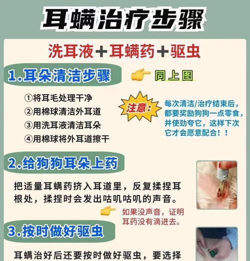 狗狗耳朵感染预防技巧：全面护理与注意事项