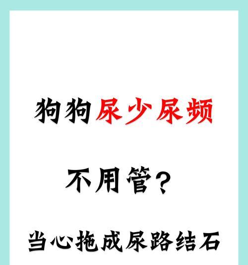 狗狗喝水后多久会排尿？关键影响因素解析