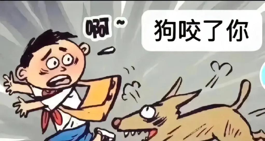狗狗爱咬人行为原因与科学改善方法