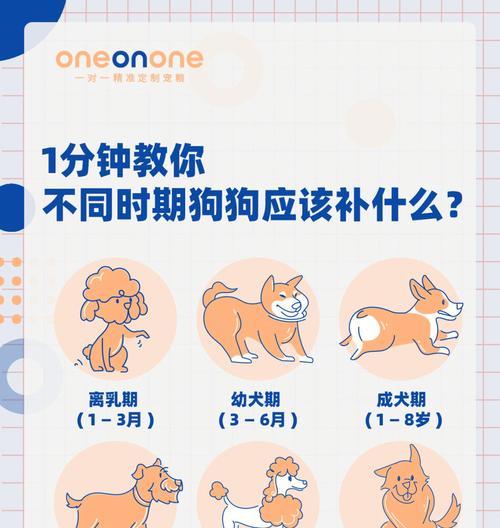 狗狗是否适合喝牛奶？需知健康注意事项