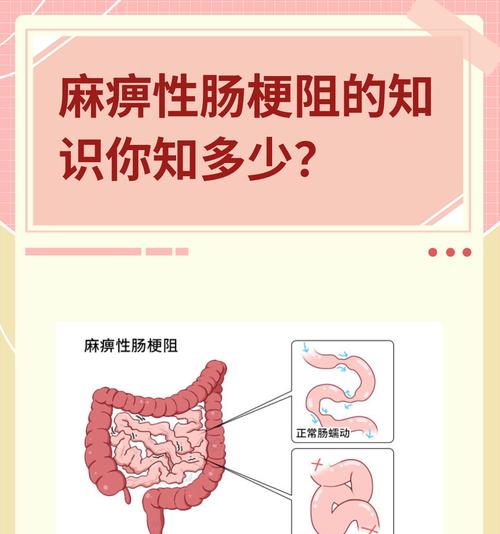 小狗肠梗阻识别与应对指南