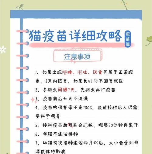 猫咪口腔护理与疫苗接种全攻略：守护健康快乐生活