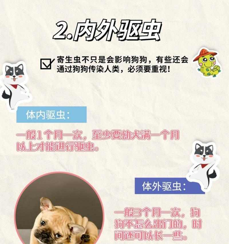 幼犬疫苗接种时间与注意事项全面解析