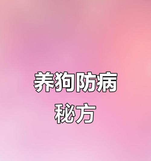 细小病毒对养狗时间的影响与防控策略