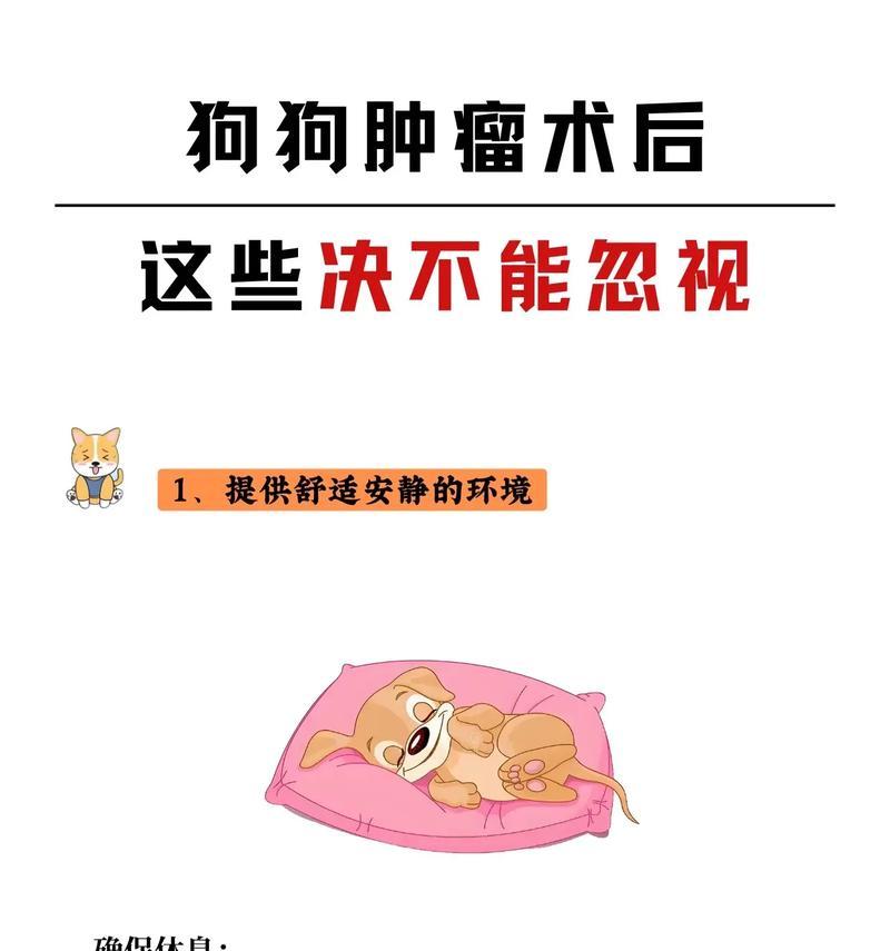 狗狗手术康复全流程：关键时间与注意事项详解