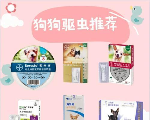 狗狗伤口发炎如何处理？有效药物与护理技巧