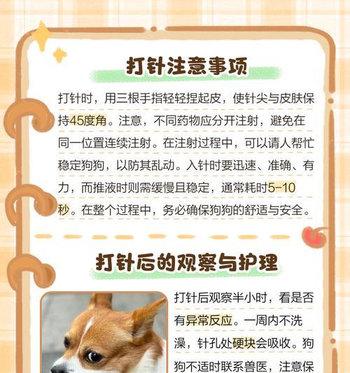 狗疫苗成本分析与健康维护要点