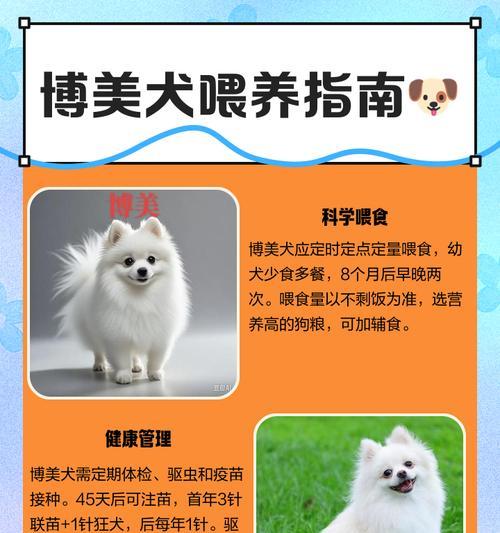 博美犬疫苗接种时间要点与注意事项全面解析