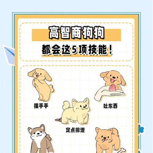 狗狗的智商解析：多维度智慧展现与认知潜力探析