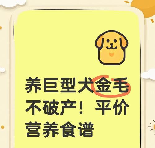 金毛犬肥胖问题解析：饮食管理与健康维护
