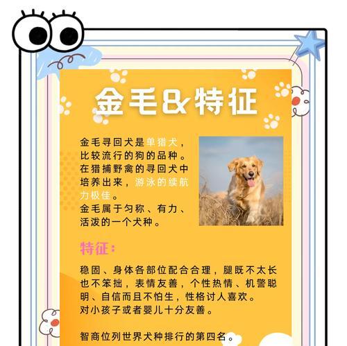 金毛尴尬期全解析：时间、表现与应对方法