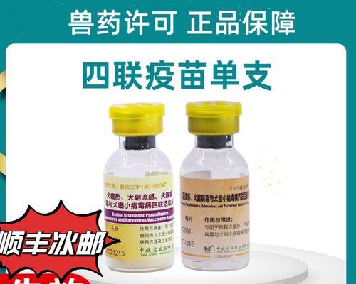 狗细小疫苗接种时间及注意事项全面解析