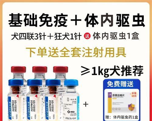 狗狗四联疫苗接种周期与注意事项全解析