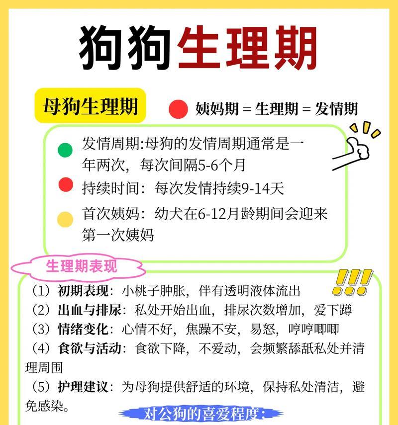 母狗剖腹产后再次怀孕所需恢复时间解析