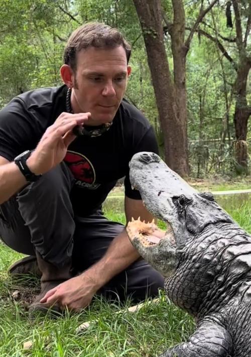 养宠物鳄鱼的品种选择与饲养要点指南