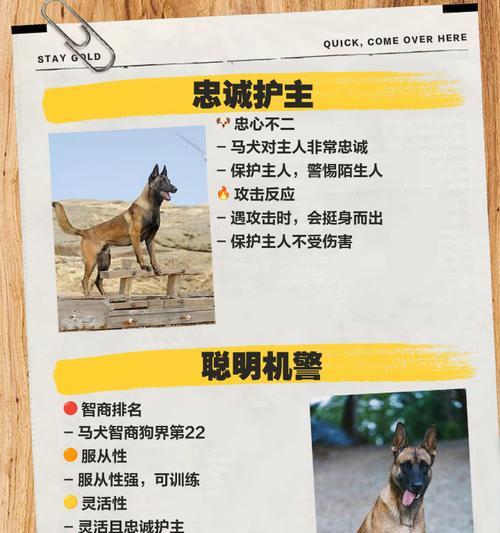 以马犬咆哮声的神秘特性与心理影响