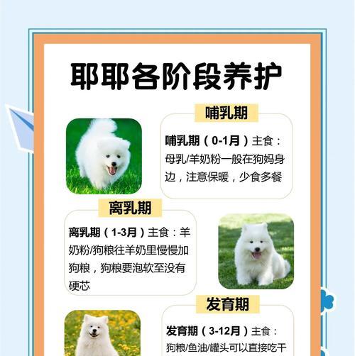 月经周期规律对女性健康的重要性