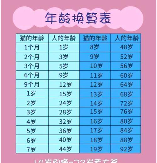 猫咪年龄判断：通过牙齿变化识别生命阶段