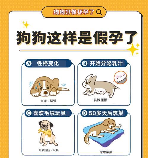 母狗 CKU比赛参赛时间指南：恢复与训练的关键要点