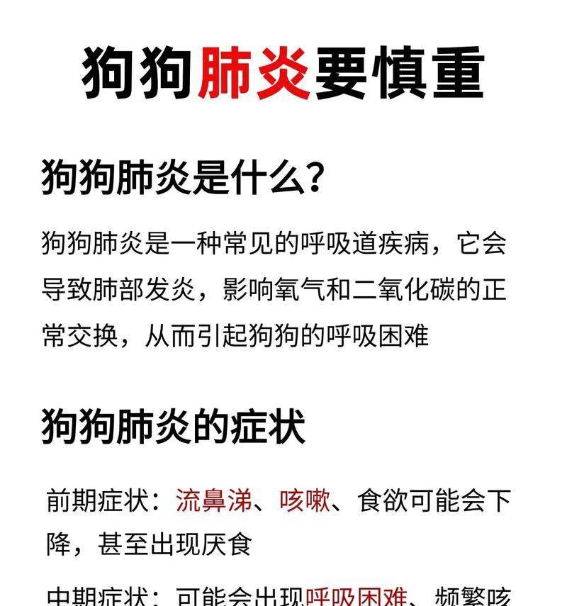 狗狗肺炎输液需要多长时间？（了解狗狗肺炎输液的治疗时长与注意事项）