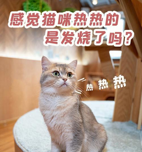 文章详情图片