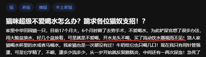猫咪饮水习惯不足的五大原因分析