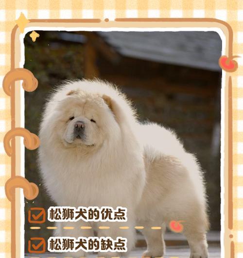 松狮毛发修剪技巧解析：宠物造型养护指南