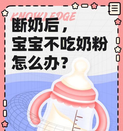 异国短毛猫断奶时机选择指南