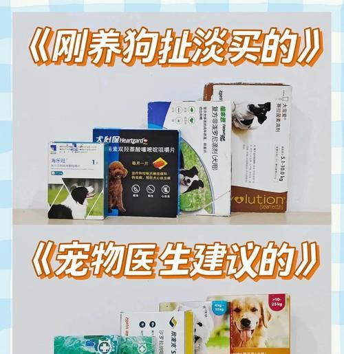 狗狗打虫药见效时间及关键注意事项
