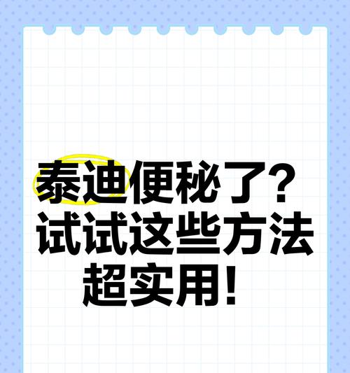 泰迪犬每天排便次数解析及健康管理全攻略