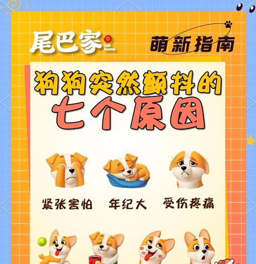 狗狗突然主动攻击人类原因解析：安全应对方法