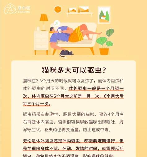 四个月大猫洗澡需求与正确护理方法