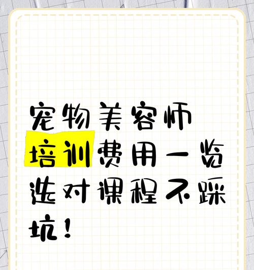 宠物美容师培训课程：系统学习提升职业技能与竞争力