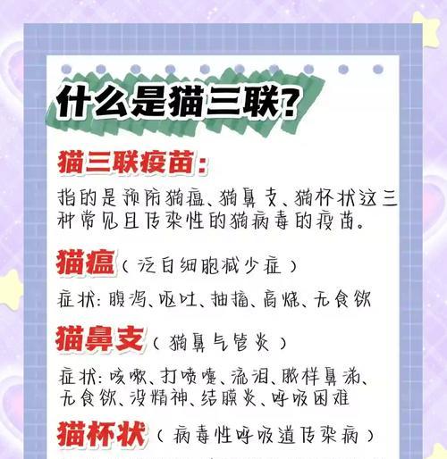 猫疫苗接种周期及科学安排指南