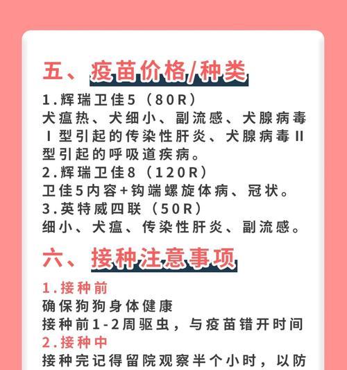 狗狗细小康复后疫苗接种时间及注意事项
