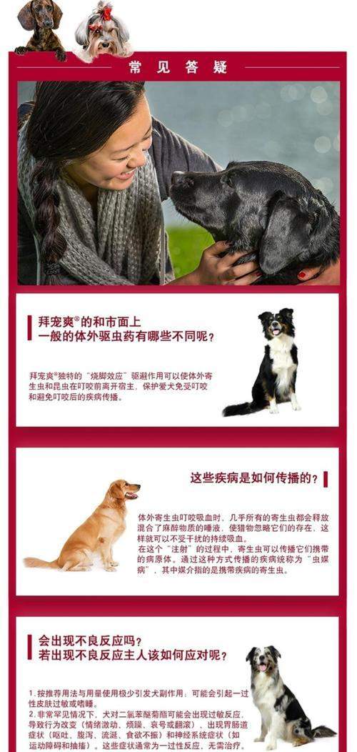 狗狗体外驱虫后洗脚时间及正确护理方法