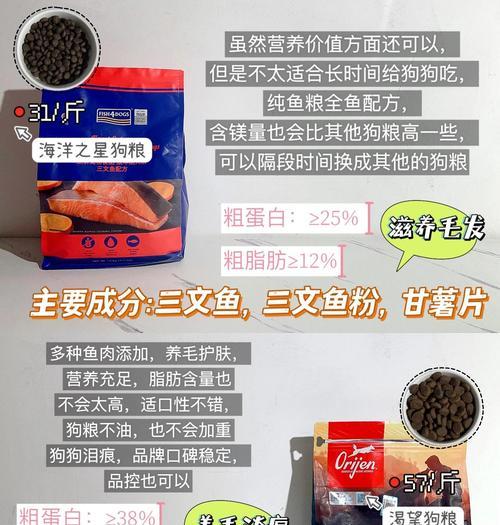科学计算狗粮保存时间及管理方法