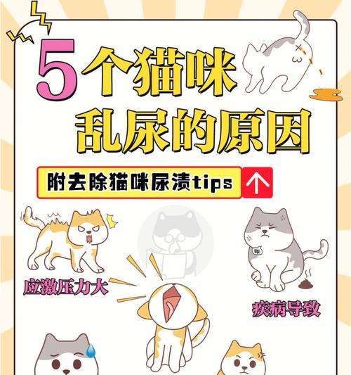 猫咪吐绿水的消化系统难题与应对指南