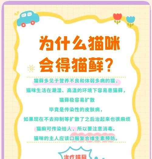 猫藓治疗周期与有效应对方案