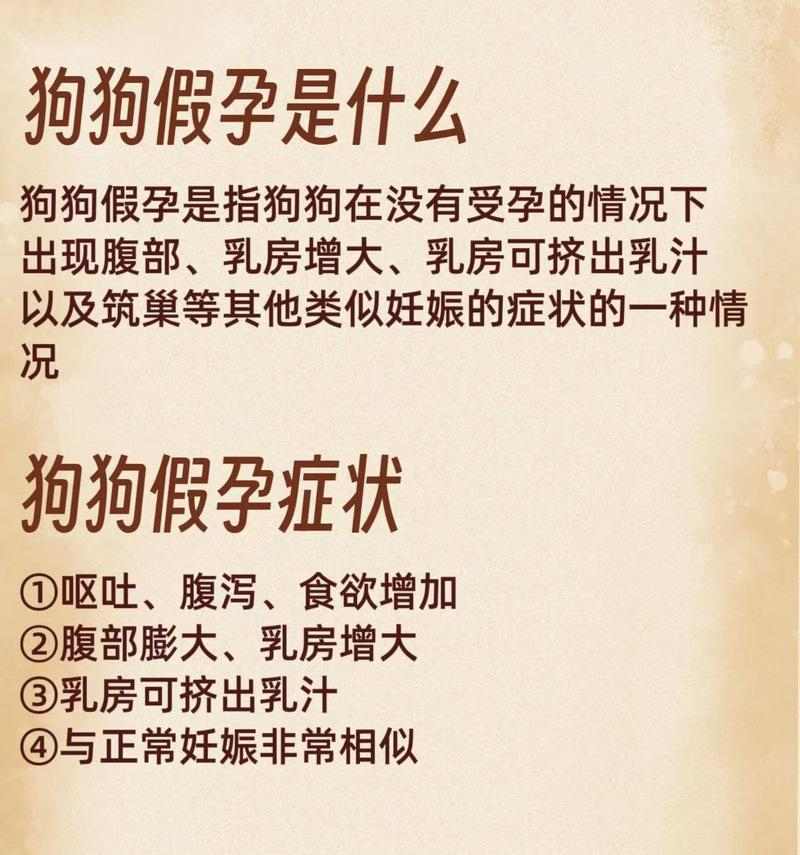 区分狗狗真假怀孕的关键方法与护理建议
