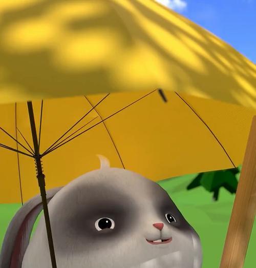 熊猫兔饲养全攻略：健康养育关键要点
