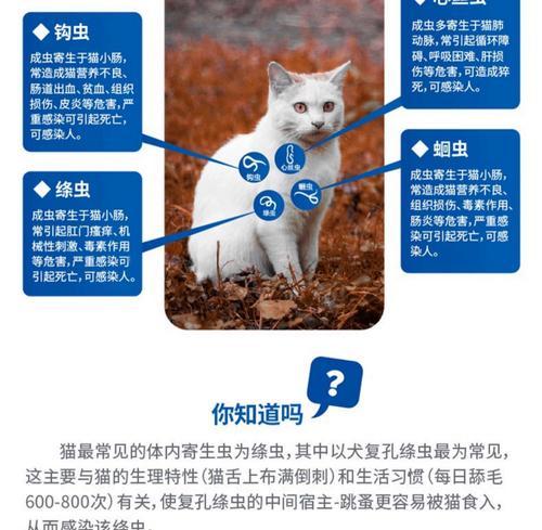 文章详情图片