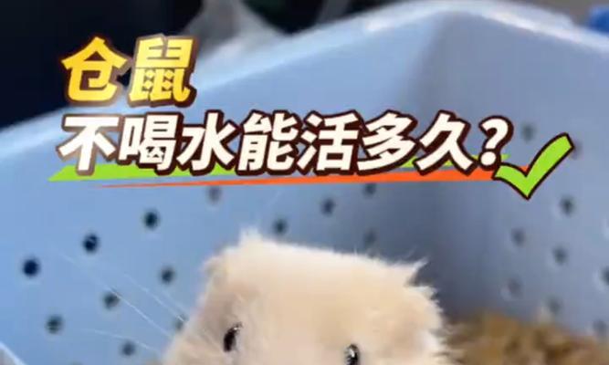 文章详情图片