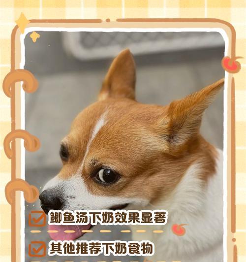 文章详情图片