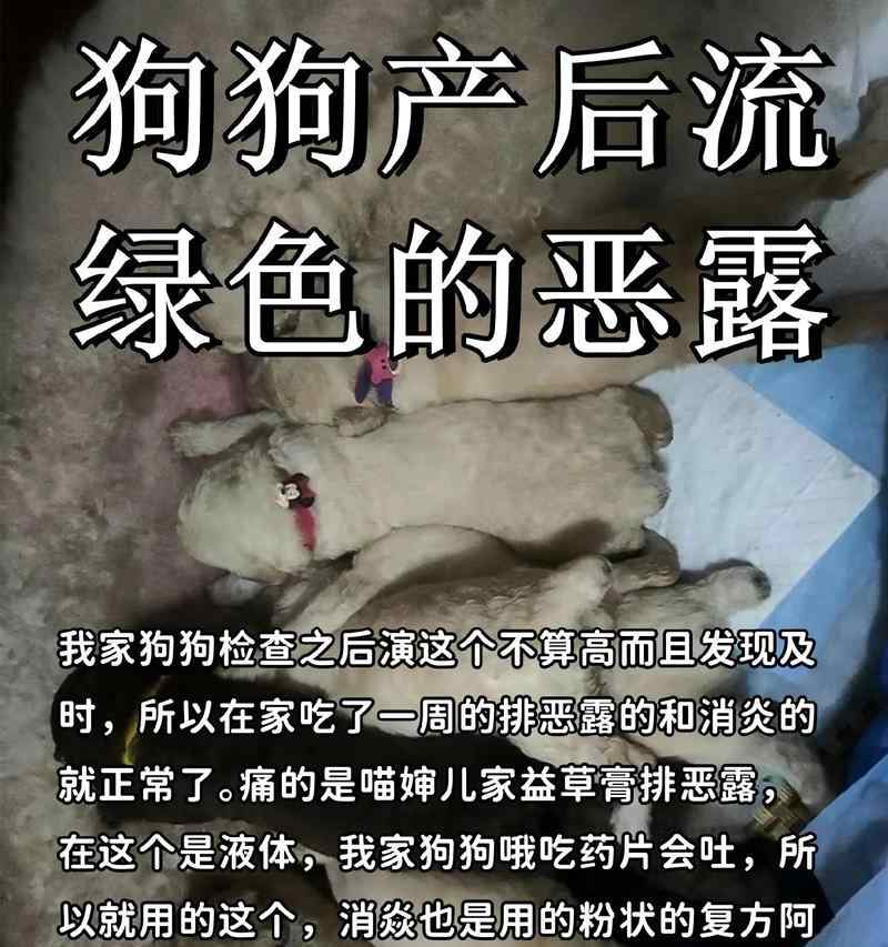 文章详情图片