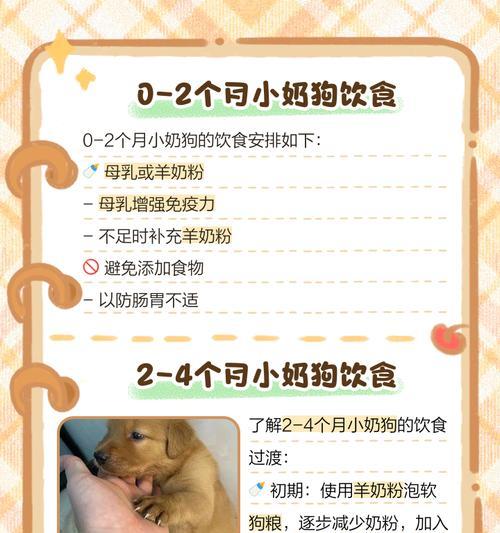 文章详情图片
