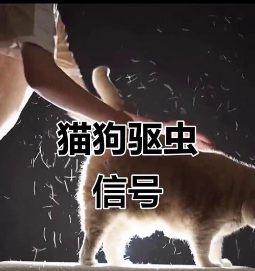 文章详情图片